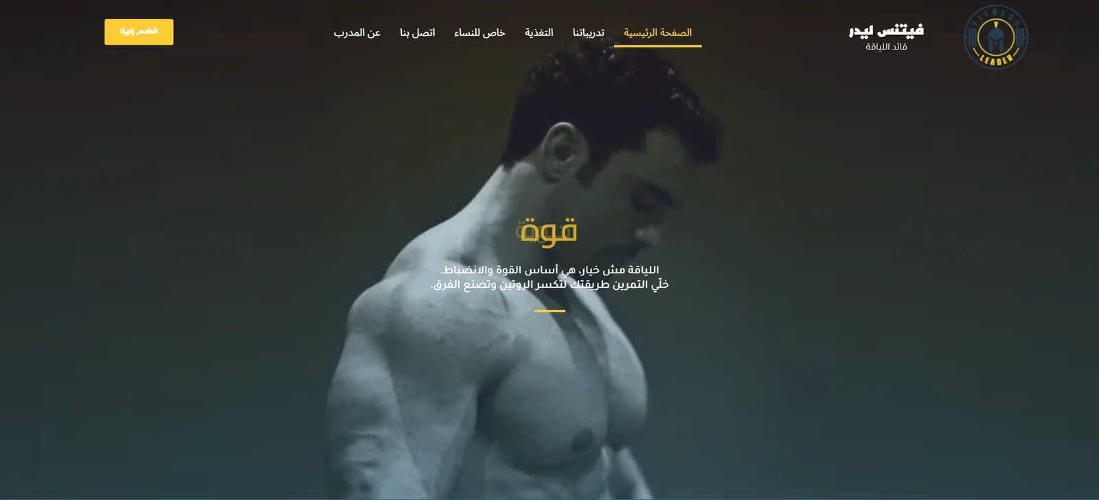 Fitness Leader – Website