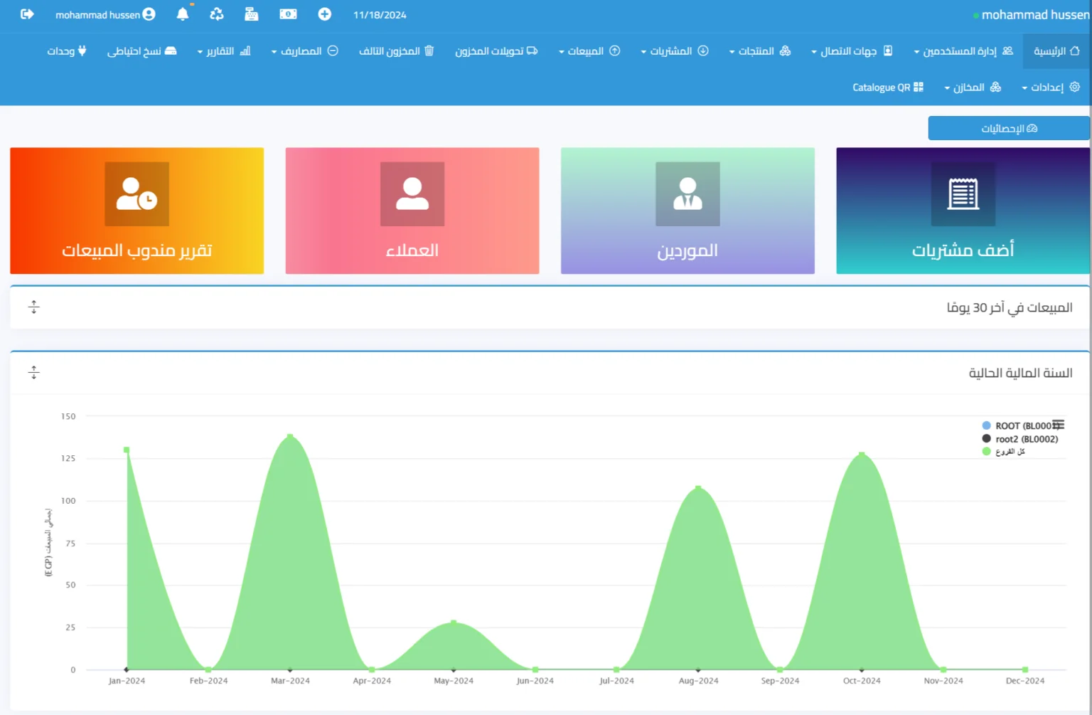 ERP System for Financial Planning and Management